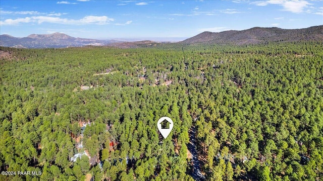 birds eye view of property featuring a mountain view