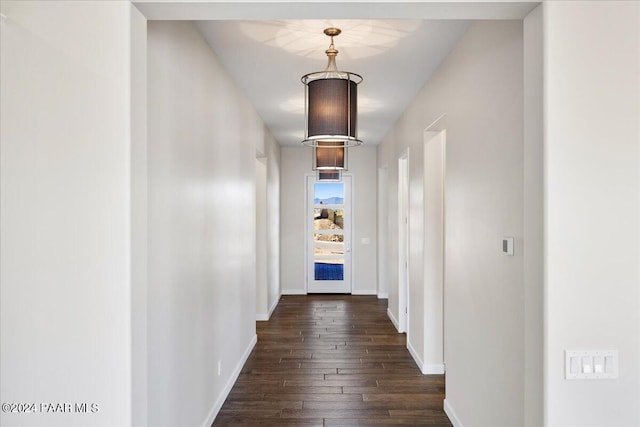 hall featuring dark wood-type flooring