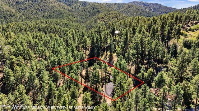 bird's eye view featuring a mountain view and a forest view