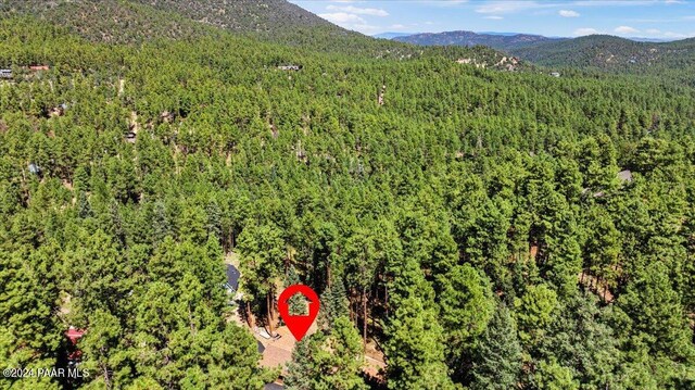 bird's eye view with a mountain view and a view of trees