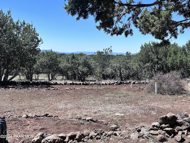 view of nature featuring a rural view