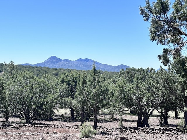 property view of mountains