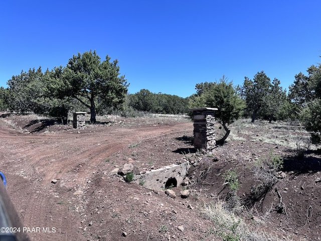 view of local wilderness