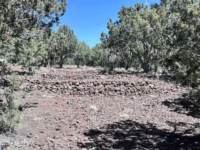 view of local wilderness