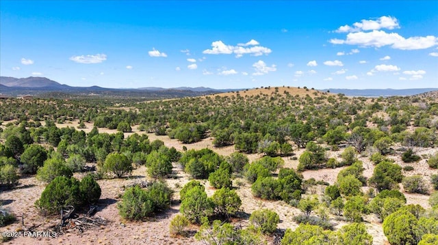 18800 N Butte Pass Rd, Prescott, AZ 86305 - photo 5