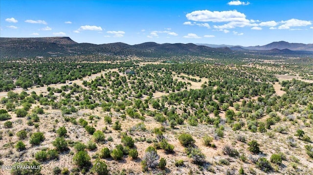 18800 N Butte Pass Rd, Prescott, AZ 86305 - photo 13