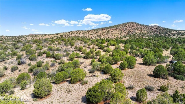 18800 N Butte Pass Rd, Prescott, AZ 86305 - photo 4
