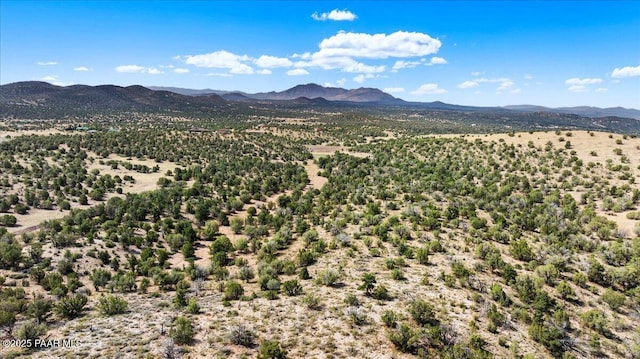 18800 N Butte Pass Rd, Prescott, AZ 86305 - photo 14