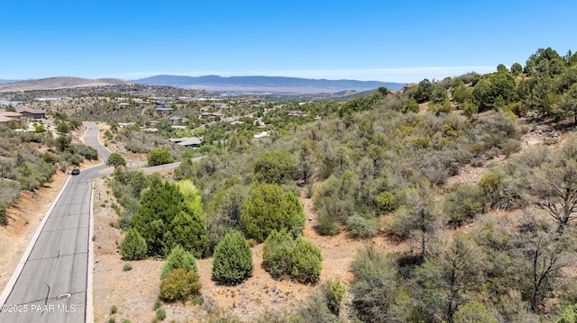 2843-2825 Mystic Canyon Dr, Prescott, AZ 86303 - photo 23