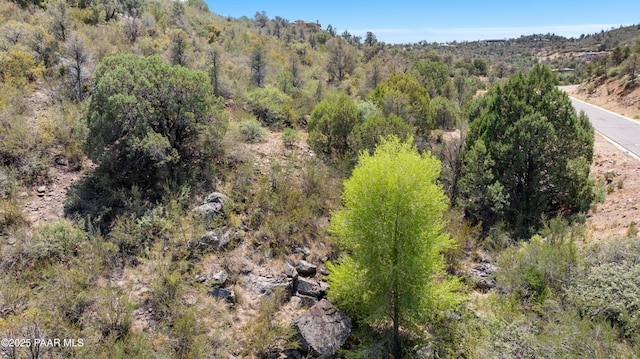 2843-2825 Mystic Canyon Dr, Prescott, AZ 86303 - photo 25