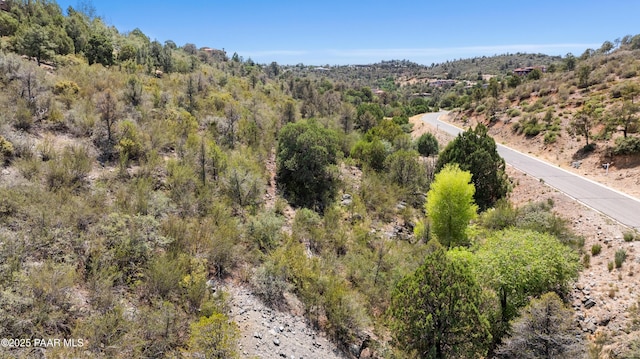 2843-2825 Mystic Canyon Dr, Prescott, AZ 86303 - photo 24