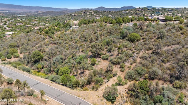 2843-2825 Mystic Canyon Dr, Prescott, AZ 86303 - photo 16