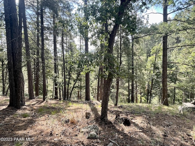 334X E Sheldon Rd, Prescott, AZ 86303 - photo 10
