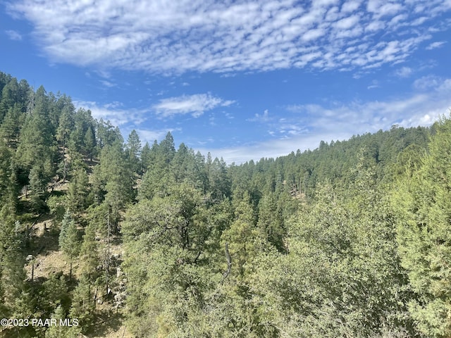 334X E Sheldon Rd, Prescott, AZ 86303 - photo 1