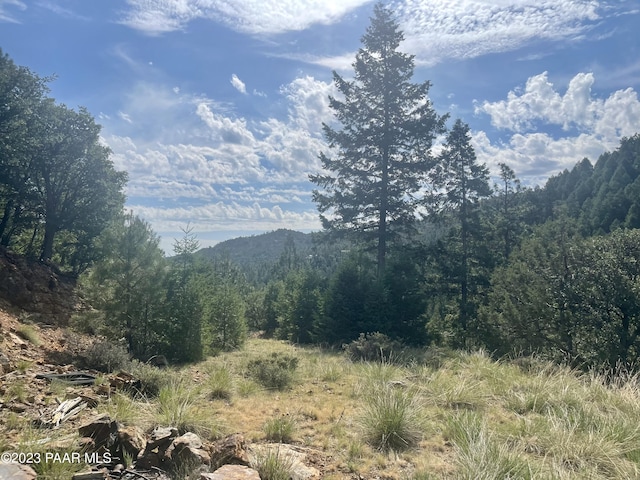 334X E Sheldon Rd, Prescott, AZ 86303 - photo 12