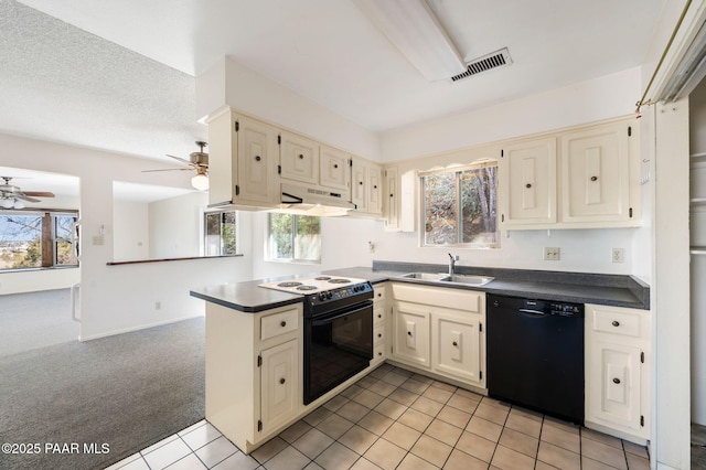 401 Valley Pl, Prescott, AZ 86301 - kitchen featuring a sink, black appliances, cream cabinetry, and a ceiling fan