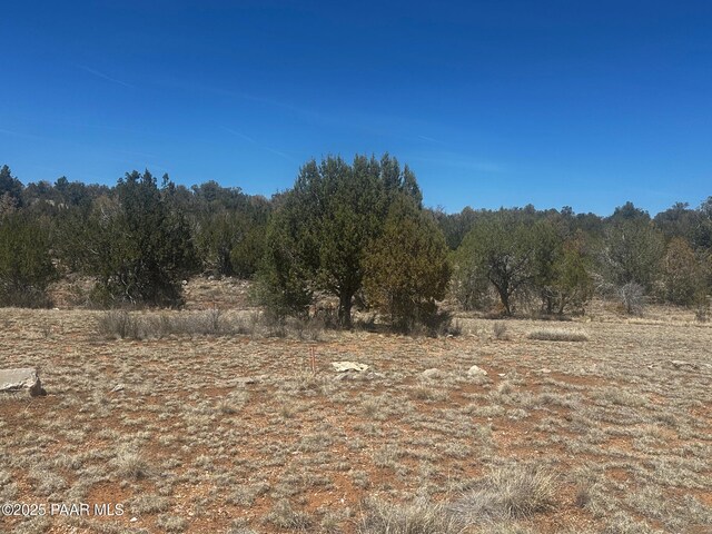 32372 Ancho Rd, Seligman, AZ 86337 - photo 11
