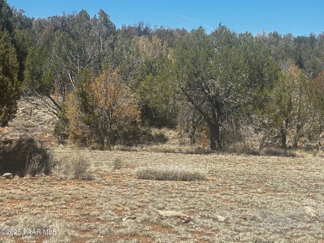 32372 Ancho Rd, Seligman, AZ 86337 - photo 13