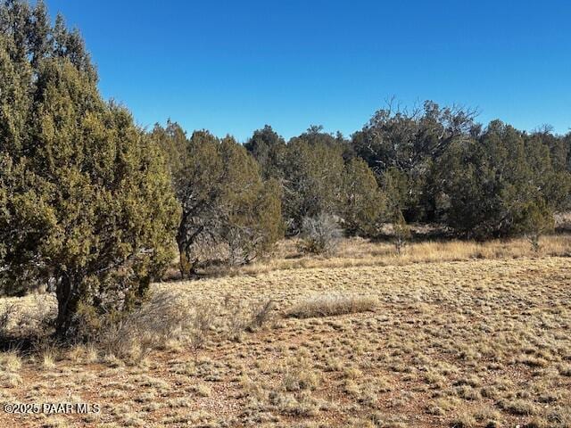 32372 Ancho Rd, Seligman, AZ 86337 - photo 1