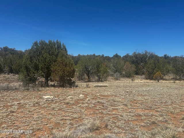 32372 Ancho Rd, Seligman, AZ 86337 - photo 10