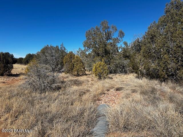 32372 Ancho Rd, Seligman, AZ 86337 - photo 5