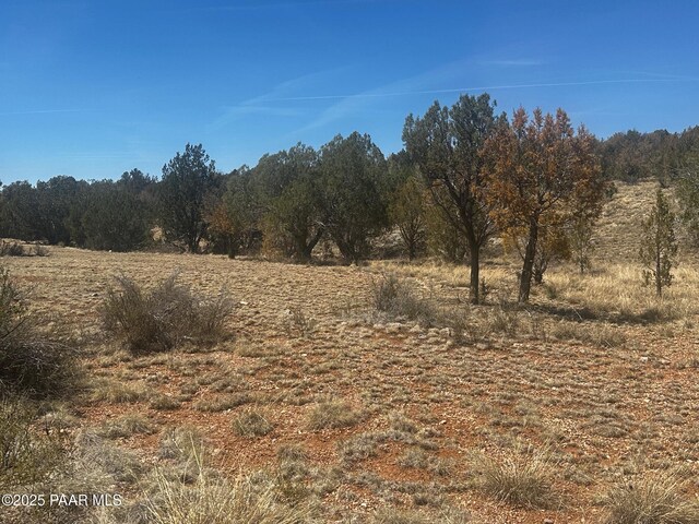 32372 Ancho Rd, Seligman, AZ 86337 - photo 17