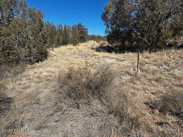32372 Ancho Rd, Seligman, AZ 86337 - photo 2