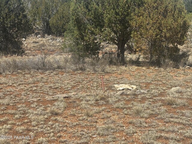 32372 Ancho Rd, Seligman, AZ 86337 - photo 9