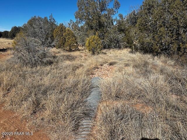 32372 Ancho Rd, Seligman, AZ 86337 - photo 4