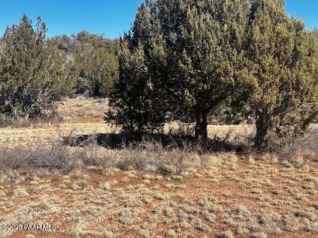 32372 Ancho Rd, Seligman, AZ 86337 - photo 7