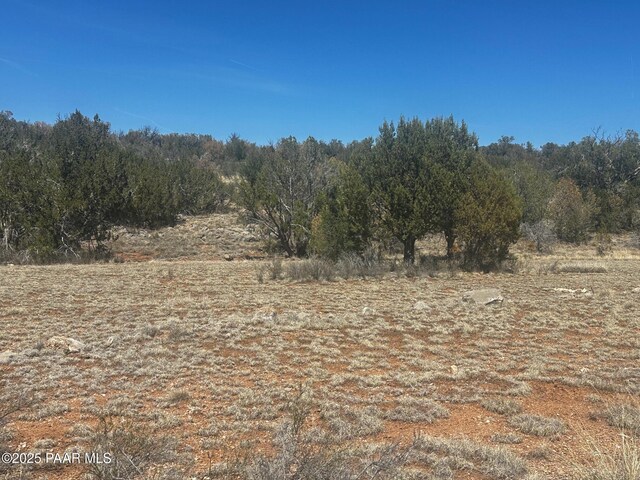 32372 Ancho Rd, Seligman, AZ 86337 - photo 8