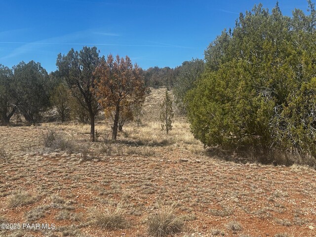 32372 Ancho Rd, Seligman, AZ 86337 - photo 16