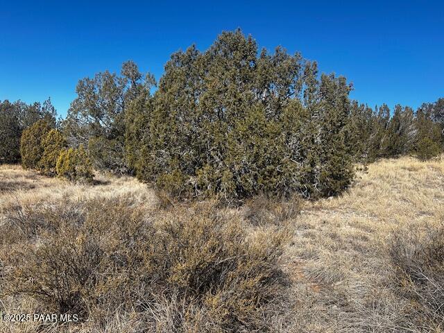 32372 Ancho Rd, Seligman, AZ 86337 - photo 3