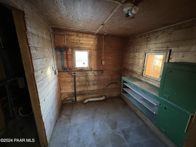 basement featuring wooden walls