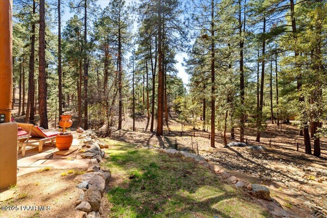 1465 E Cima De Pina, Prescott, AZ 86303 - photo 17