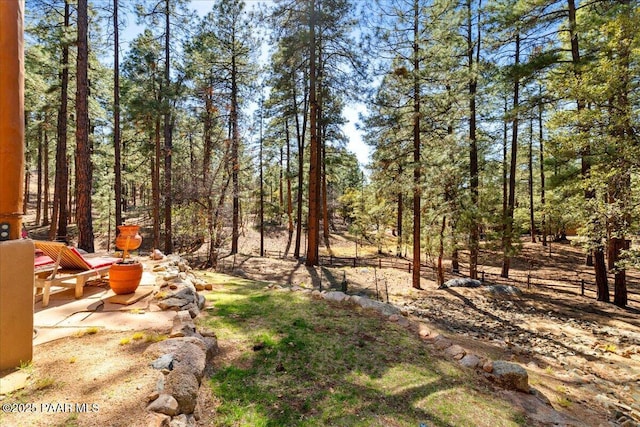 1465 E Cima De Pina, Prescott, AZ 86303 - photo 36