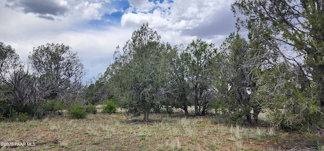 view of landscape