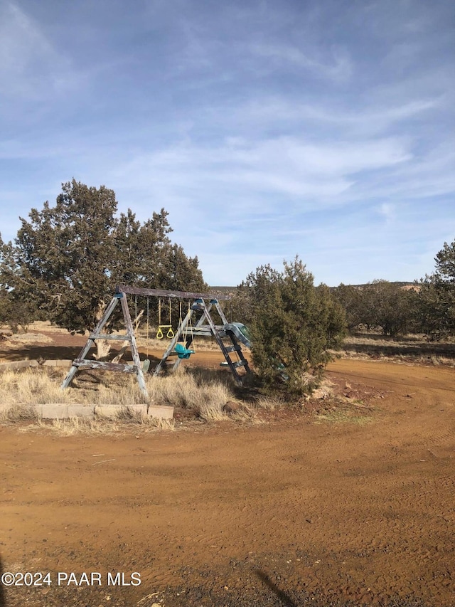 view of jungle gym