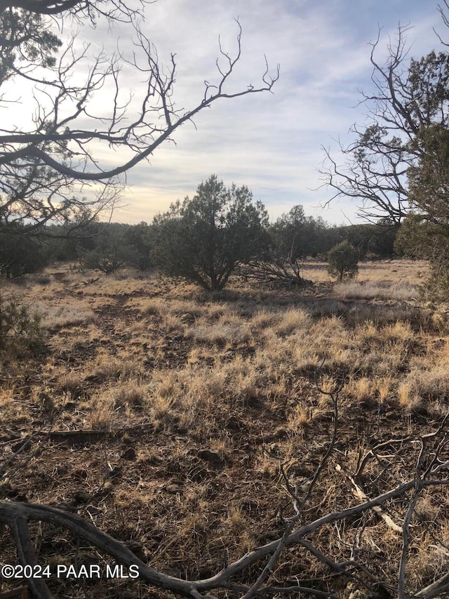 view of landscape featuring a rural view