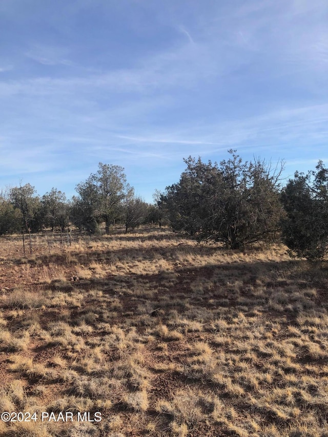 view of landscape with a rural view