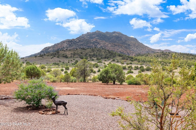 7250 N Old Cornfield Ln, Prescott, AZ 86305 - photo 41