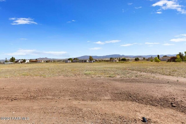 view of yard featuring a mountain view and a rural view