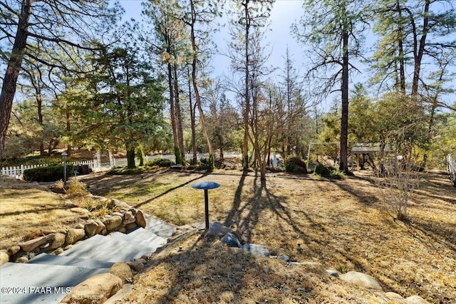 view of yard