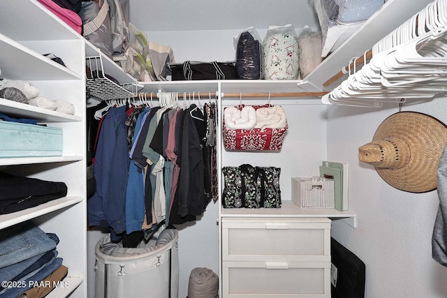 view of spacious closet