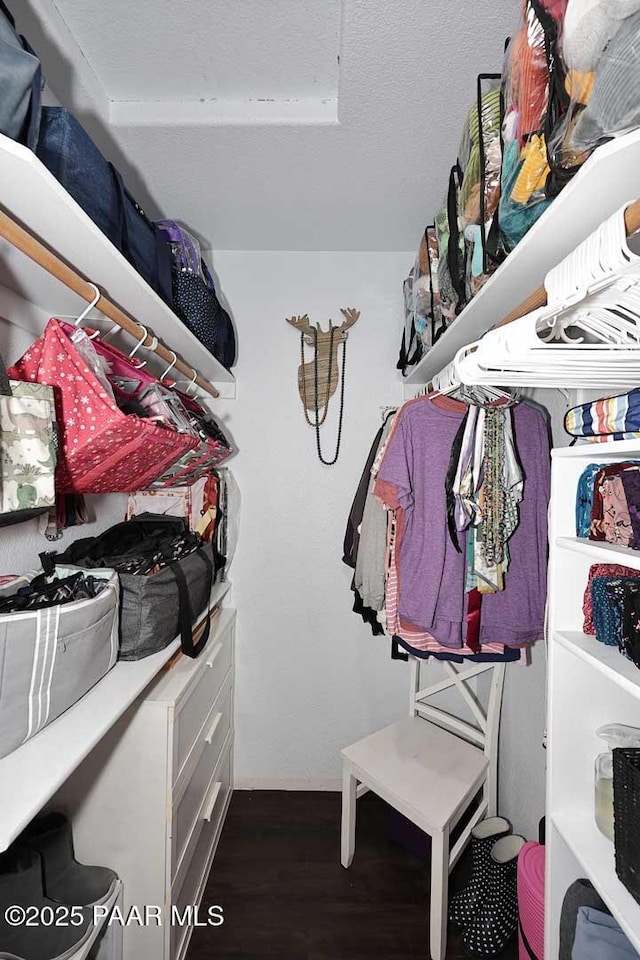 walk in closet featuring dark wood-type flooring