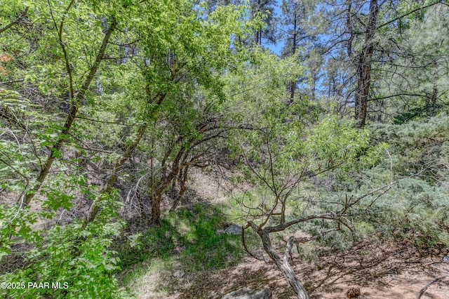 1434 Haisley Ct, Prescott, AZ 86303 - view of woods