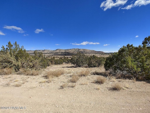 54870 N Paintbrush Ln, Seligman AZ, 86337 land for sale