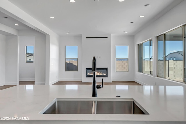 kitchen featuring a glass covered fireplace, a healthy amount of sunlight, light countertops, and a sink