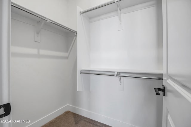 spacious closet with carpet floors