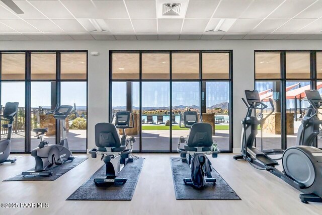 gym featuring visible vents, a drop ceiling, and wood finished floors